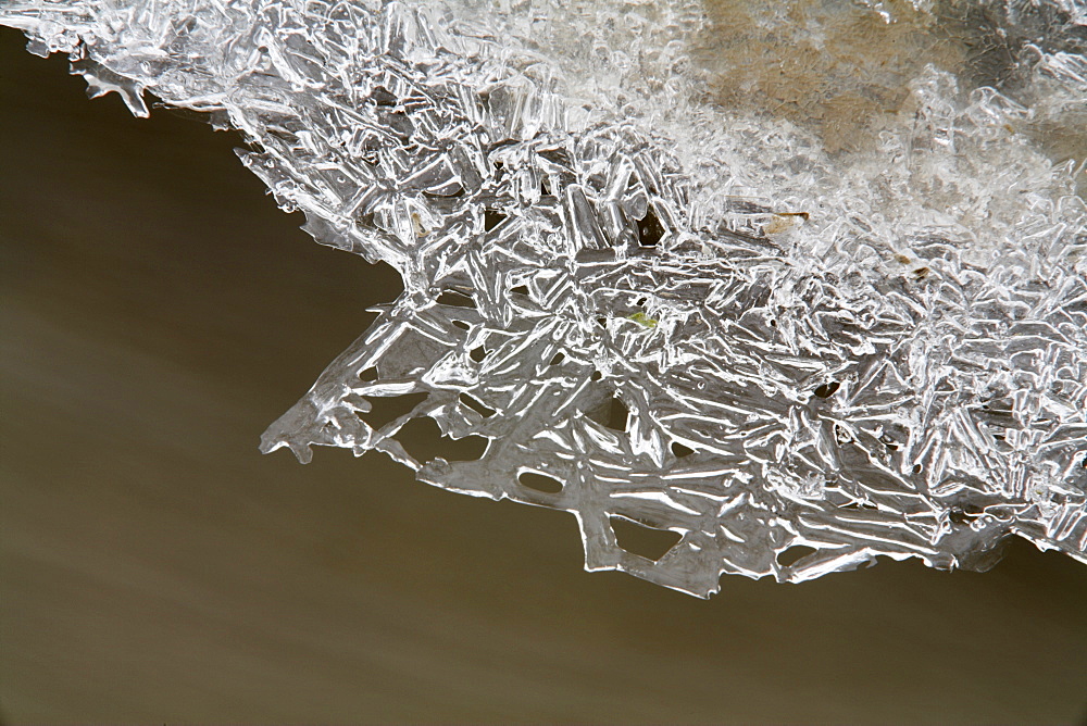 Ice crystals in a small brook near Reit im Winkel, Bavaria, Germany, Europe