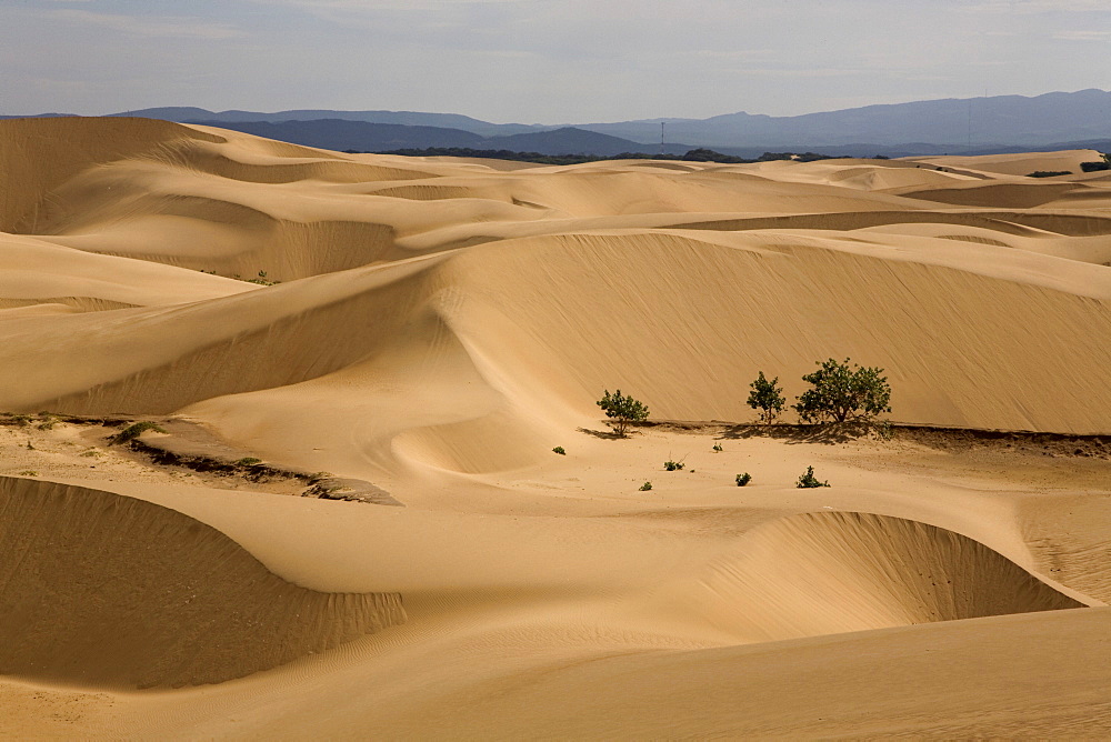 Desert sands, Paraguana Peninsula, Falcon, Venezuela, South America