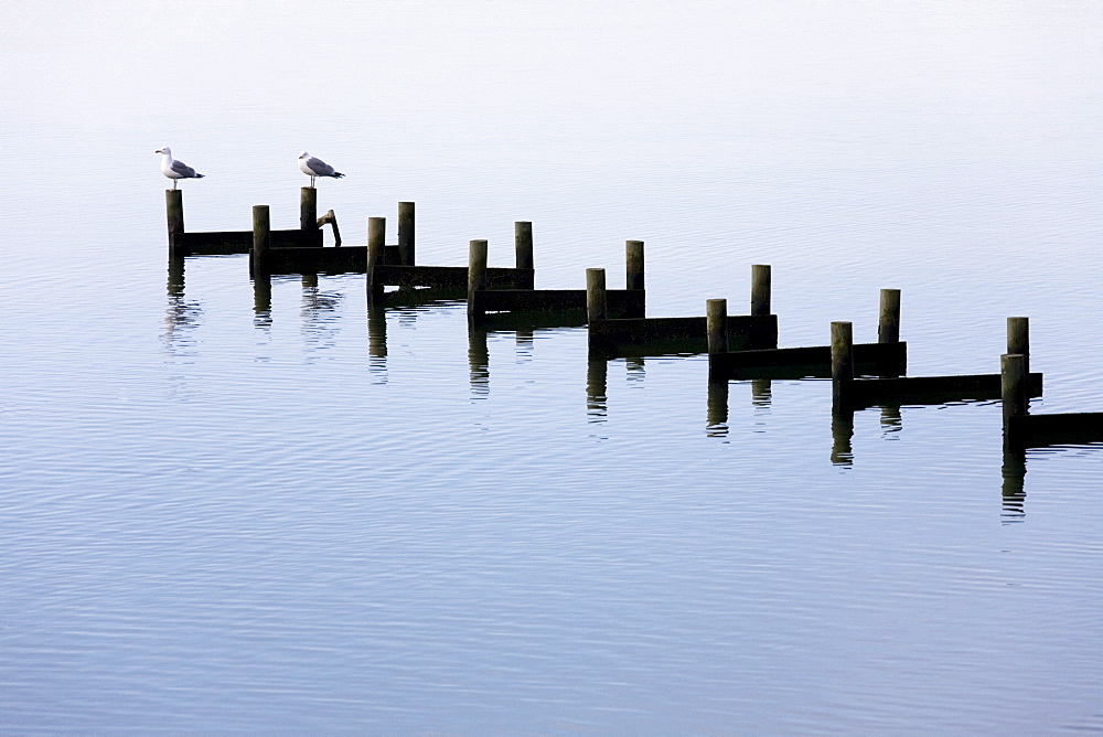 Dismantled jetty, Marinaminde, Flensburger Foerde, Flensburg Fjord, Denmark