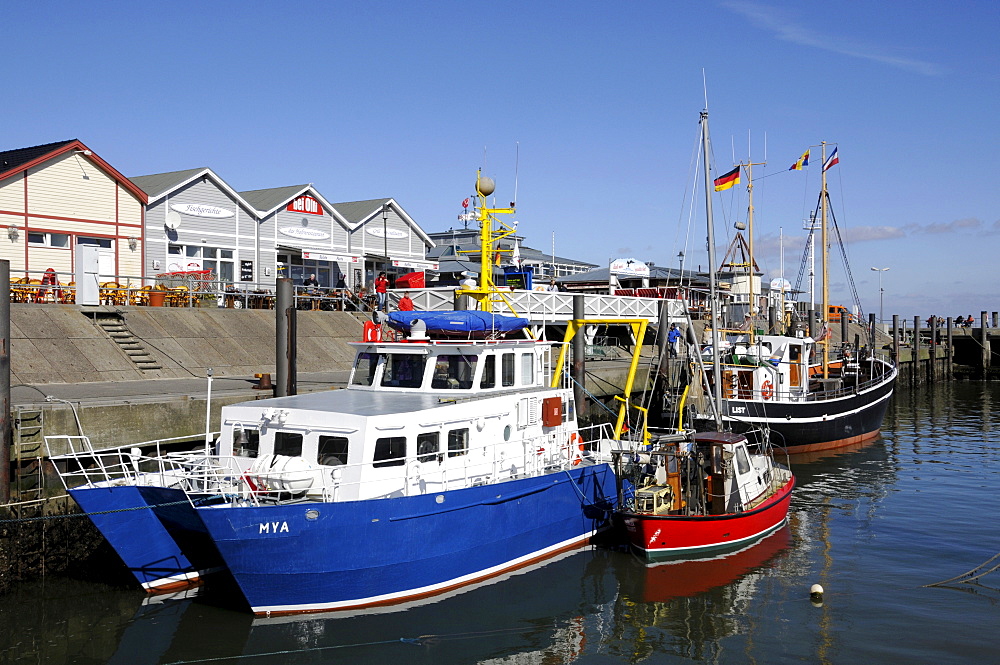 Fishing boats tied up at List harbour on the North Frisian island of Sylt, Schleswig-Holstein, Germany