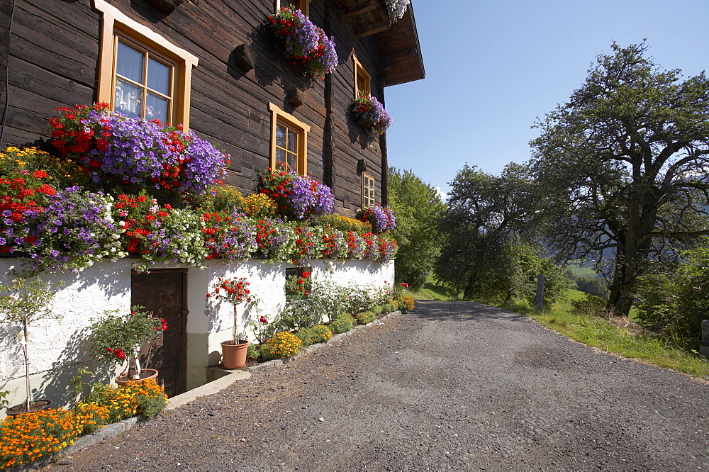 Farm, Carinthia, Austria