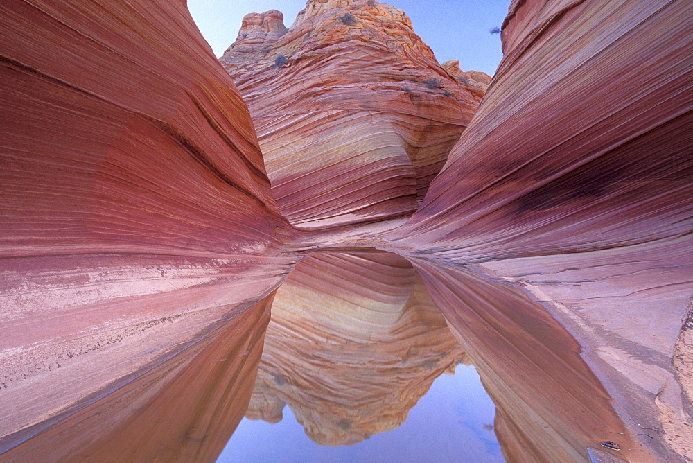 Petrified sand dunes, Coyote Buttes, Arizona, USA