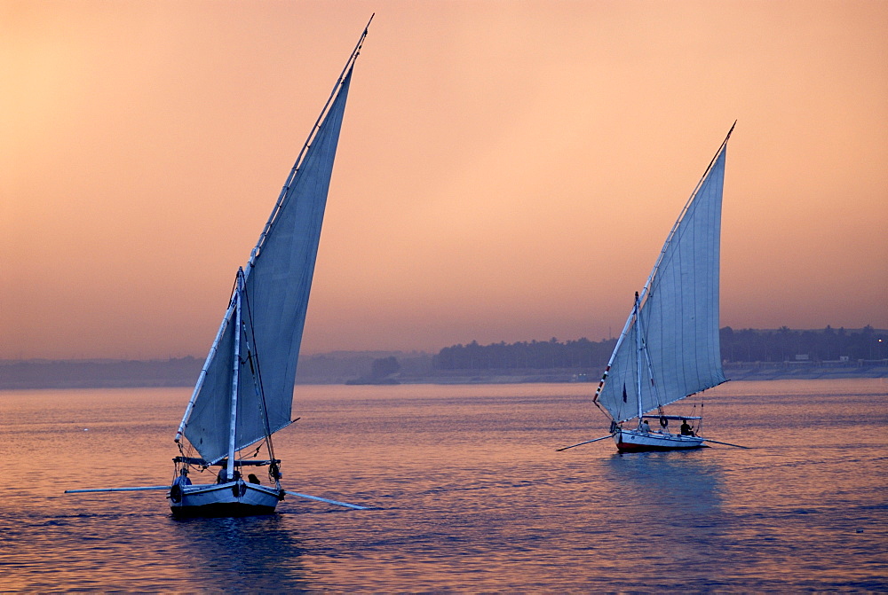 Feluccas, traditional sailboats on the Nile near Luxor, Egypt, Africa