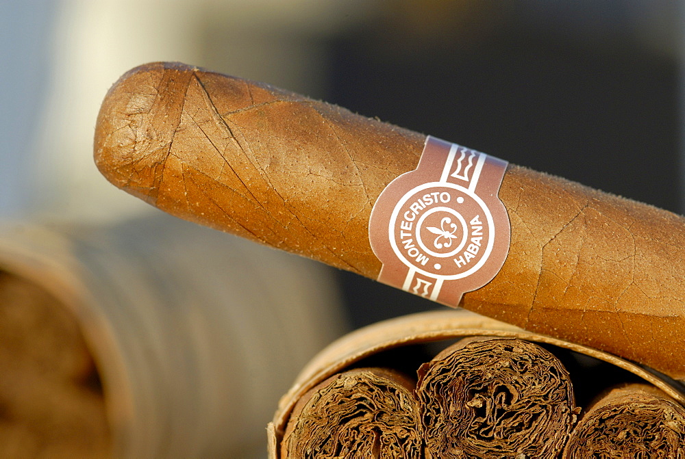 Montecristo Cigar, Pinar del Rio, Vinales, Cuba, Caribbean