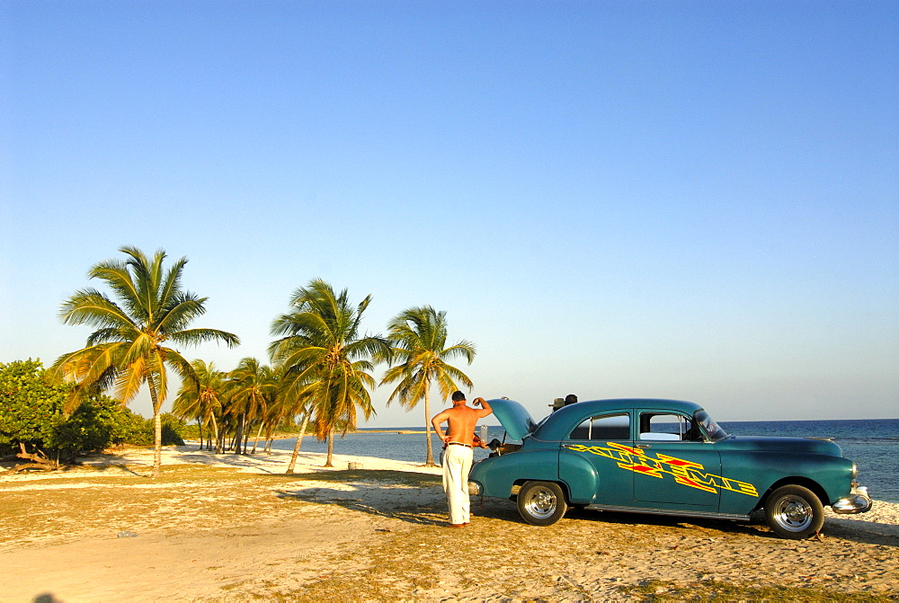 Vintage car parked a palm-lined beach, Playa Giron, Cuba, Caribbean, Americas