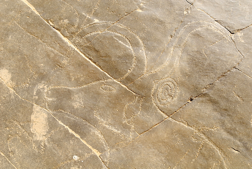 Prehistoric rock carving, bull, La Dalle, Tin Tarabine, Tassili du Hoggar, Wilaya Tamanrasset, Algeria, Sahara, North Africa