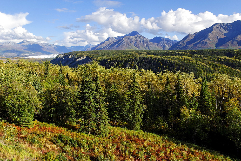 Matanuska River and Glacier, Chugach Mountains, Alaska, USA