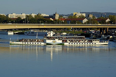 Saxony steam navigation paddle wheel steamer on river Elbe Dresden Saxony Germany