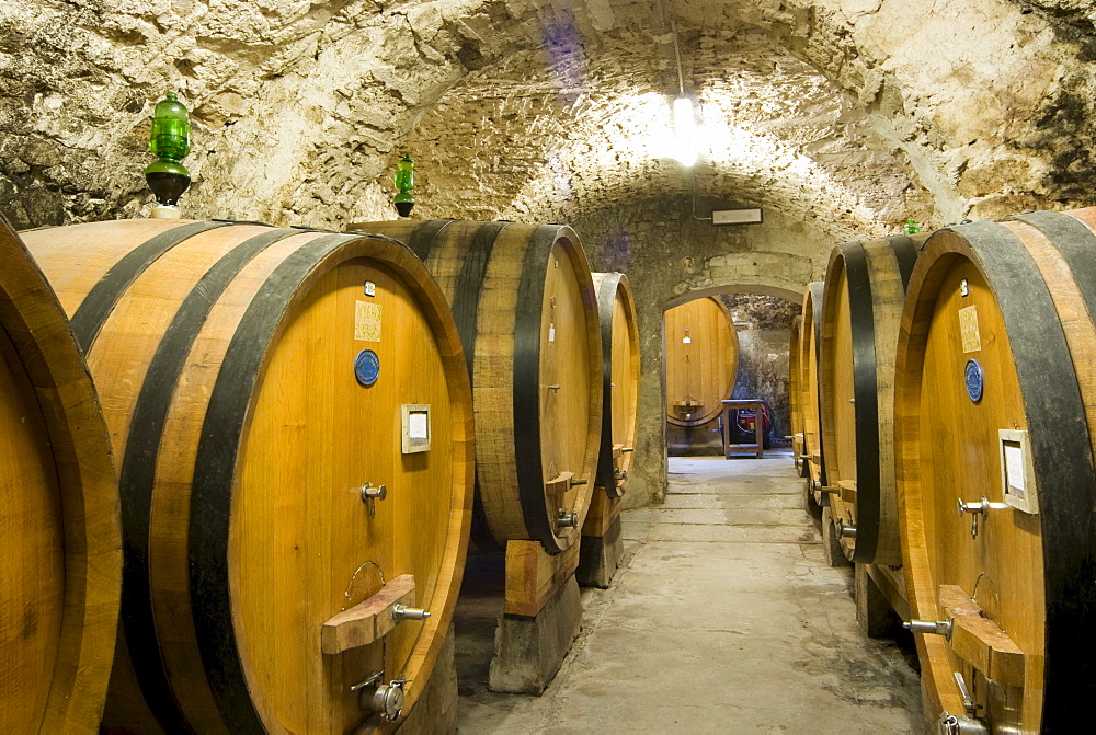 Wine barrels in a wine cellar, Castellina in Chianti Fattoria, Chianti Region, Tuscany, Italy