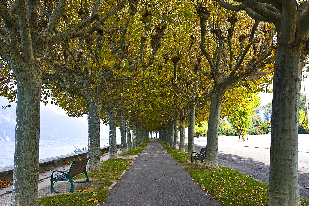 Boulevard de Lac, Aix-les-Bains, Savoie, Rhone Alps, France