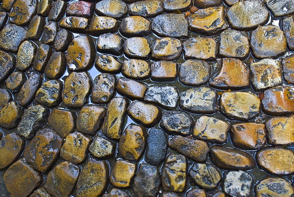 Copplestones, Rue des Teinturiers, Avignon, Provence-Alpes-Cote d Azur, France