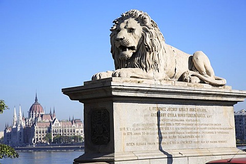 Lion's statue with the suspension bridge - on the left side you can see the parliament, Budapest, Hungary