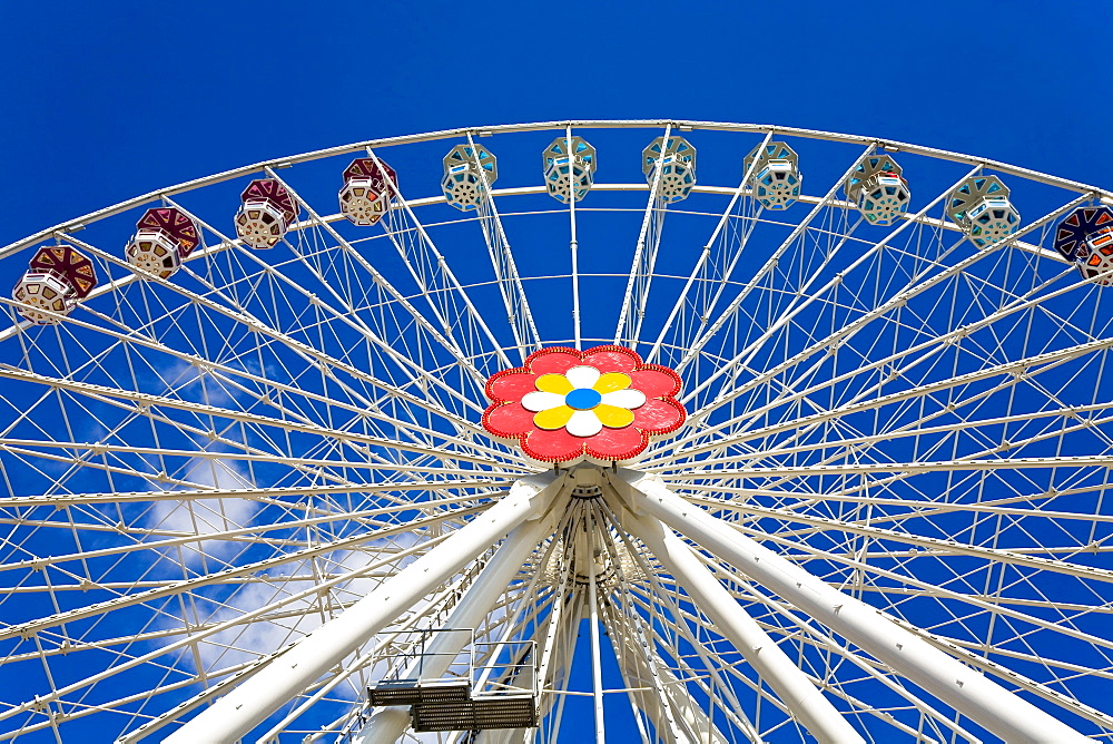 Floral wheel in the Viennese Prater Vienna Austria