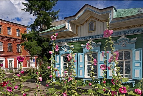 Summer flowers in front of beautiful Windows with Ornamentic Frames of old wooden houses, Omsk at the Rivers of Irtisch and Omka, Omsk, Sibiria, Russia, GUS, Europe,