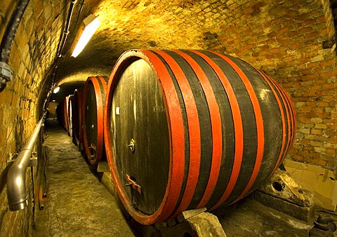 Villany, 9000 l wine cask in the biggest wine cellar of Villany, Pecs, Southungary, Ungary, Southeast Europe, Europe,