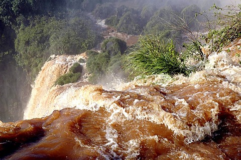 The Iguazu Falls at the border between Argentine and Brazil: Close up view of a cascade