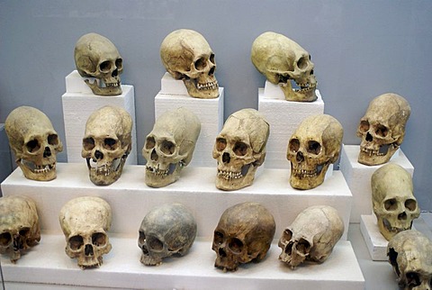 Deformed skulls, discovered in the Tihuanaku temples, Bolivia