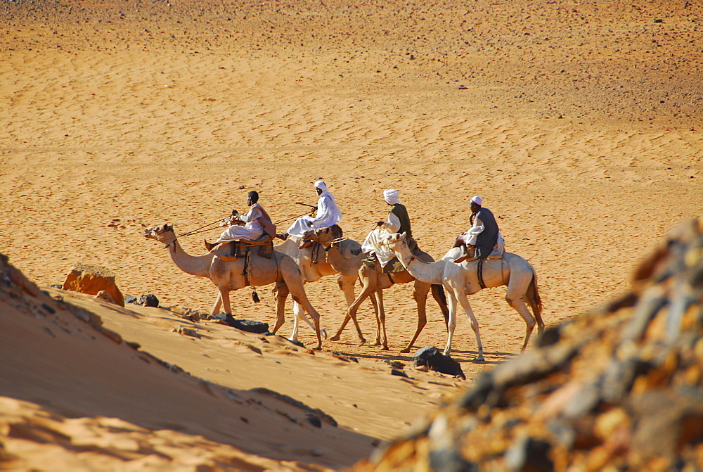 Nomads on camels, Meroe, Sudan