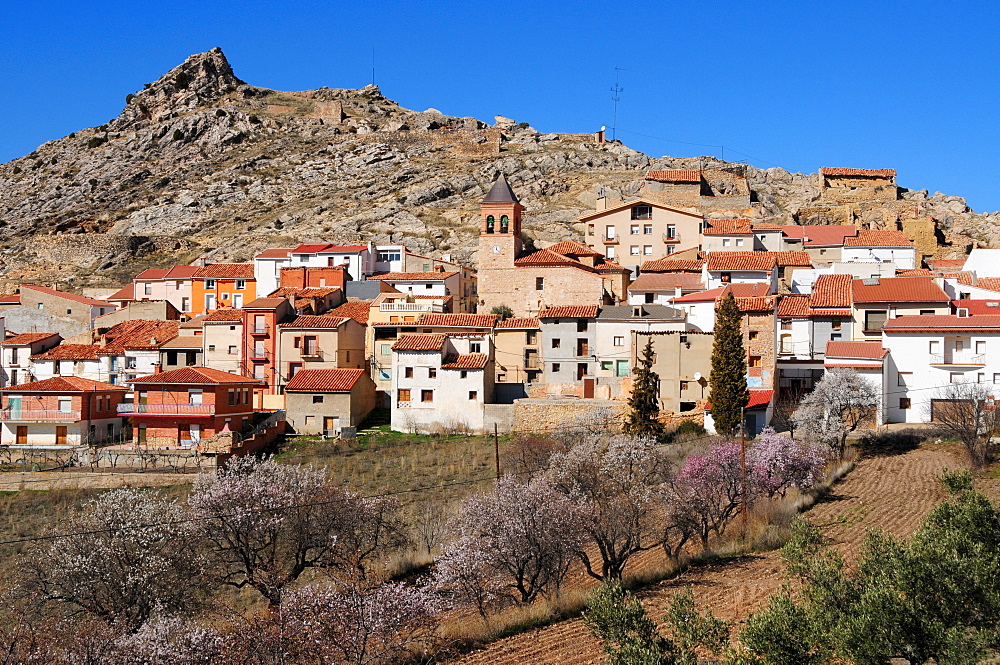 Houses in the town of Gargallo in the afternoon sun, Teruel Province, Spain, Europe