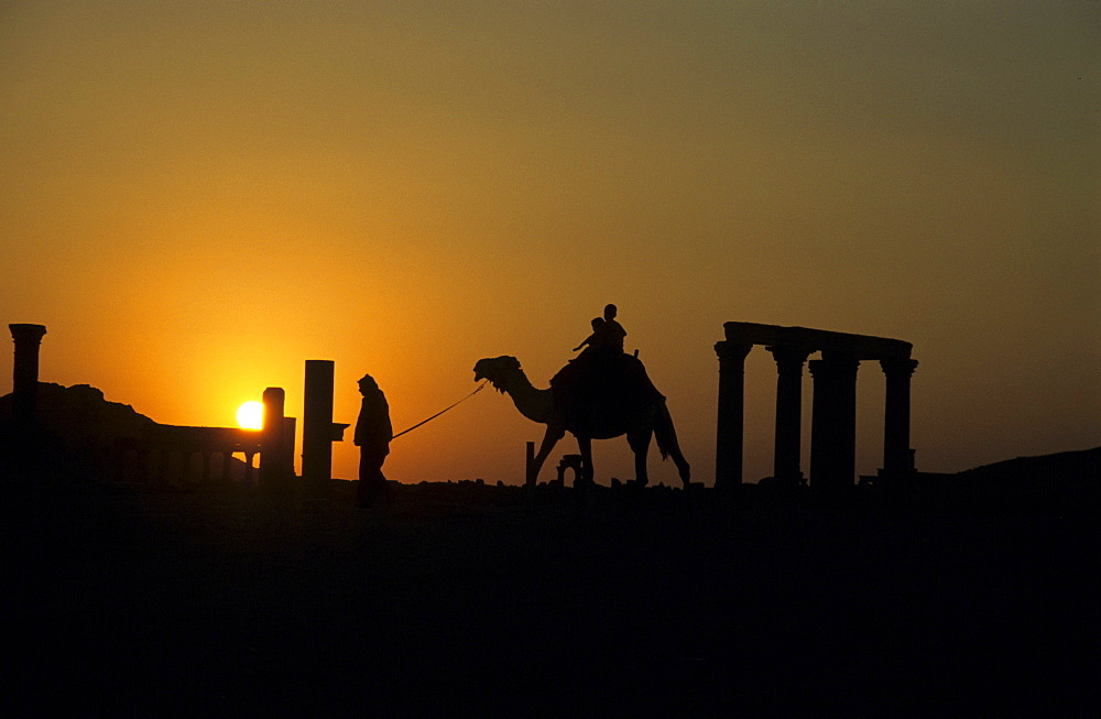 Tourist riding a camel at sunset, Palmyra, Syria, Middle East