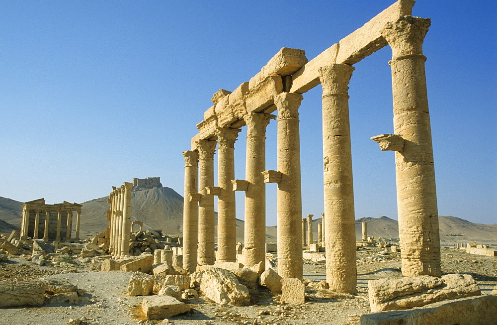 Ancient columns, Palmyra, Syria, Middle East