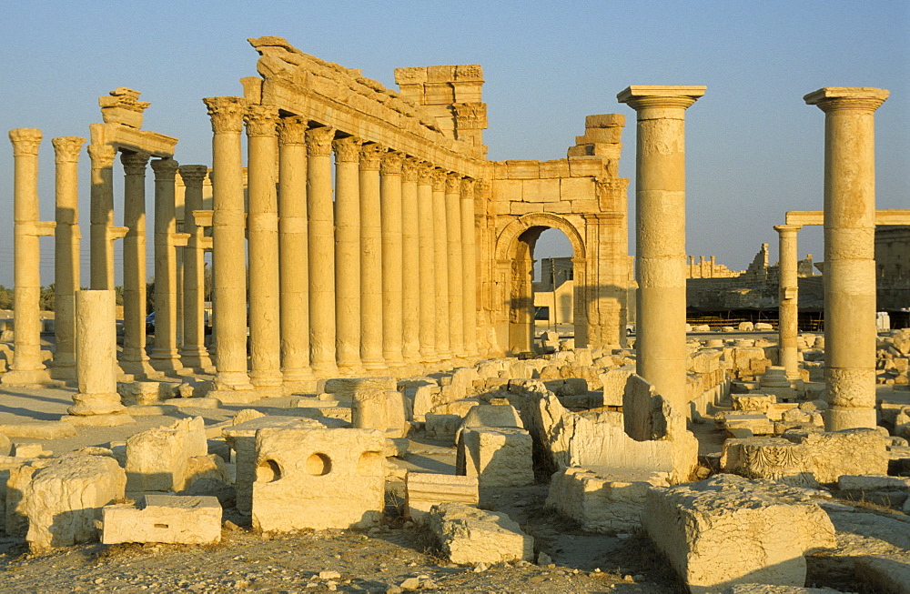 Ancient columns, Palmyra, Syria, Middle East