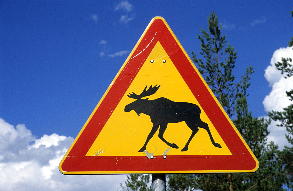 Warning sign moose crossing near Kuipio, Finland, Scandinavia, Europe