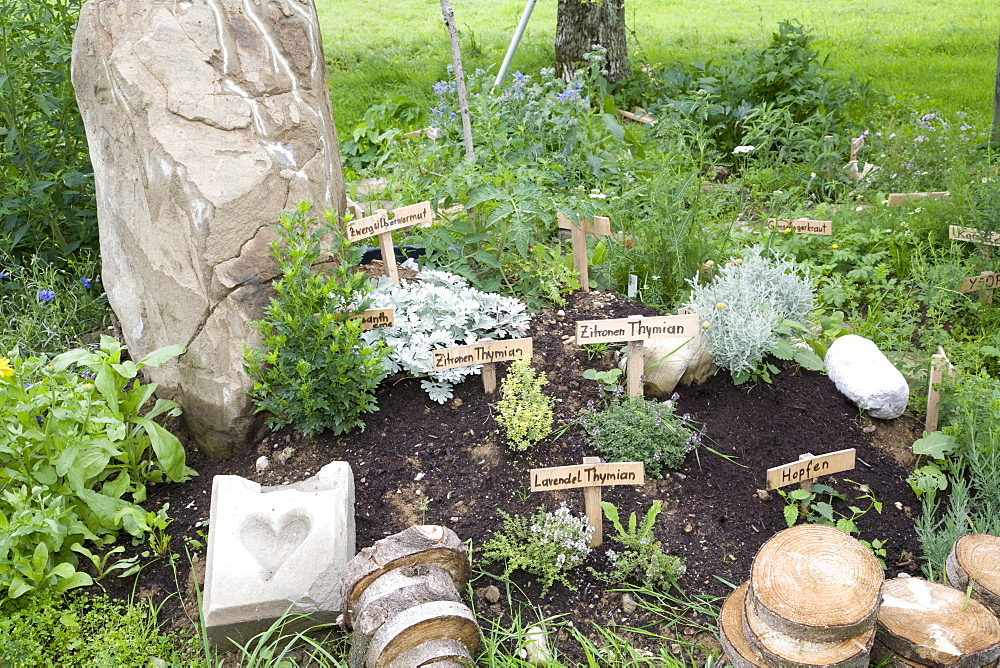 Garden with herbs