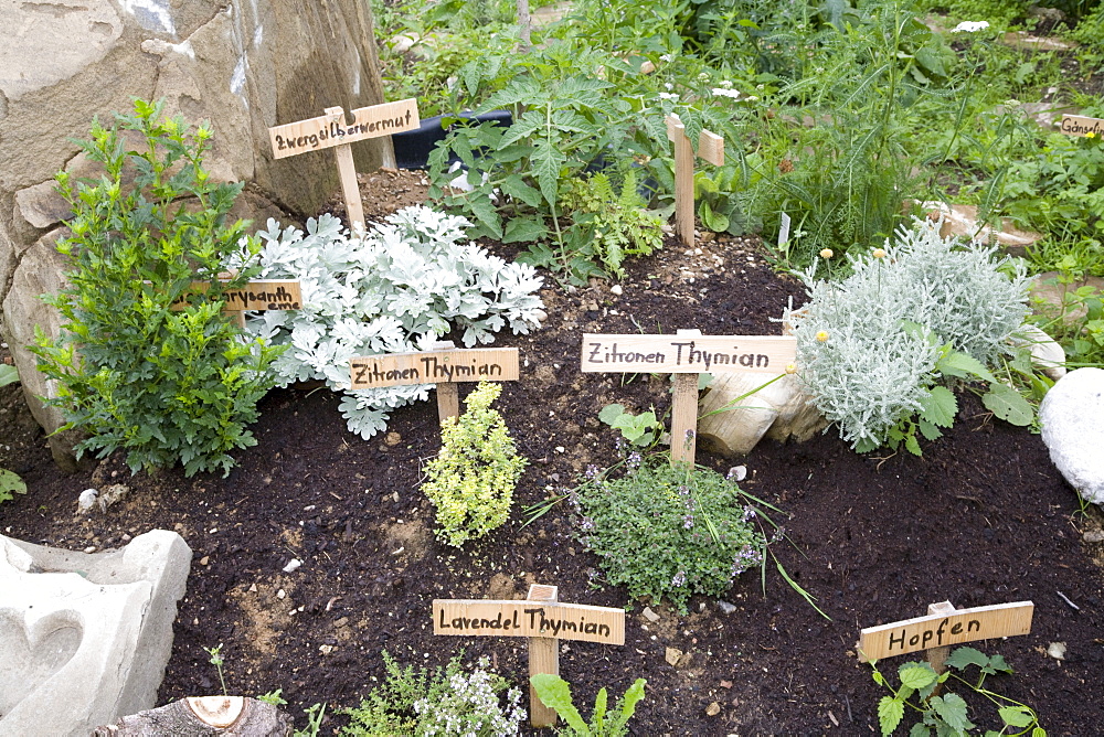 Garden with herbs