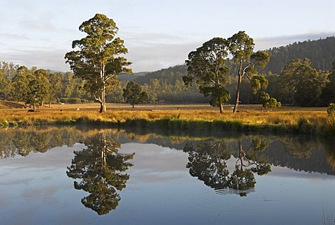 Lake near Launceston, Northern Tasmania, Australia