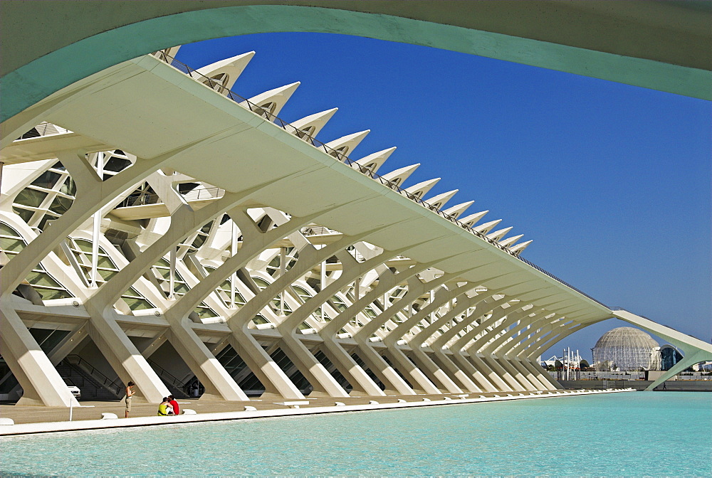 Science Museum of Principe Felipe in the City of Arts and Sciences, City of Valencia, Spain, Europe