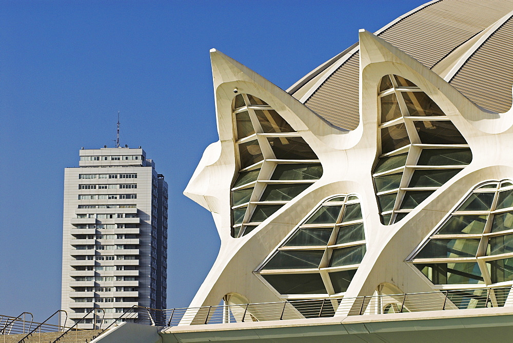 Science Museum of Principe Felipe in the City of Arts and Sciences, City of Valencia, Spain, Europe