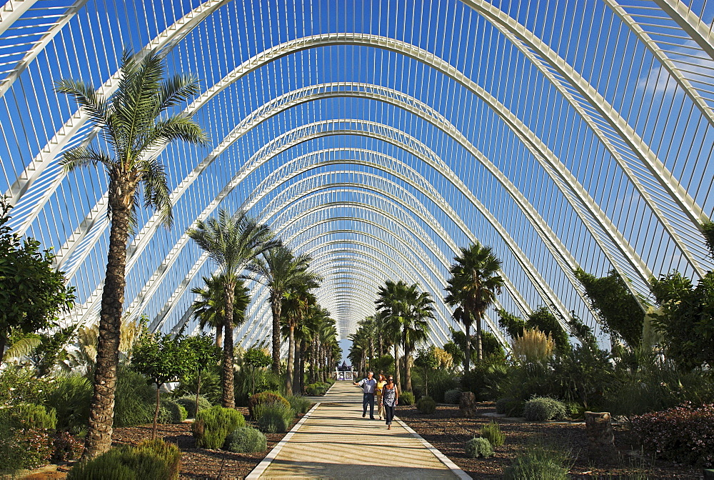 Promenade inside the Umbracle, City of Arts and Sciences, City of Valencia, Spain, Europe