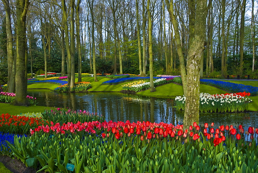 Keukenhof Gardens, Holland, the Netherlands, Europe