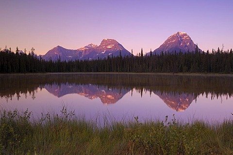 Canadian Rocky Mountains - Fryatt Pond, Jasper National Park, Alberta, Canada