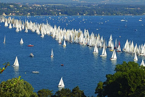 Starting line of a sailing boat race, Lac Leman Switzerland