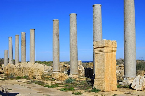 Ancient colonnade with corinth capitels, Roman ruins of Leptis Magna, Libya