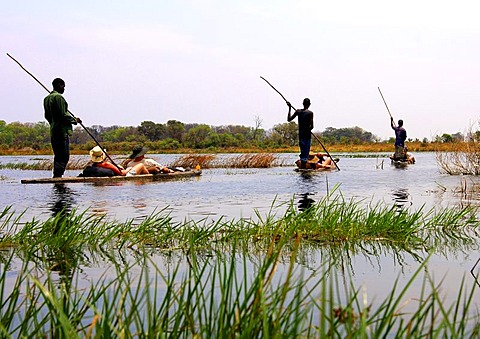 Tourists on trip in a Mokoro canoe in the Okavango Delta, Botswana