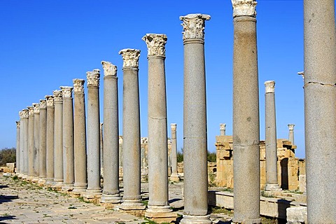 Ancient colonnade with corinth capitels, Roman ruins of Leptis Magna, Libya