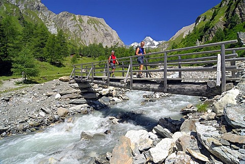 Hikers crossing a wooden bridge above a mountain stream, National Park Hohe Tauern, Tyrol, Austria