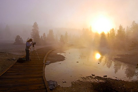 Morning fog, Yellowstone National Park, Wyoming, USA, United States of America