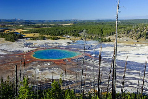 Grand Prismatic Spring, Yellowstone Nationalpark, Wyoming, USA, United States of America