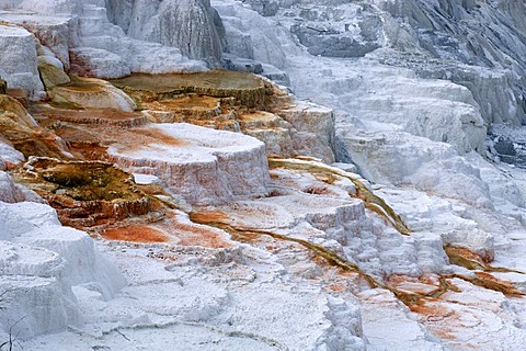 Mammoth Hot Springs, Yellowstone Nationalpark, Wyoming, USA, United States of America