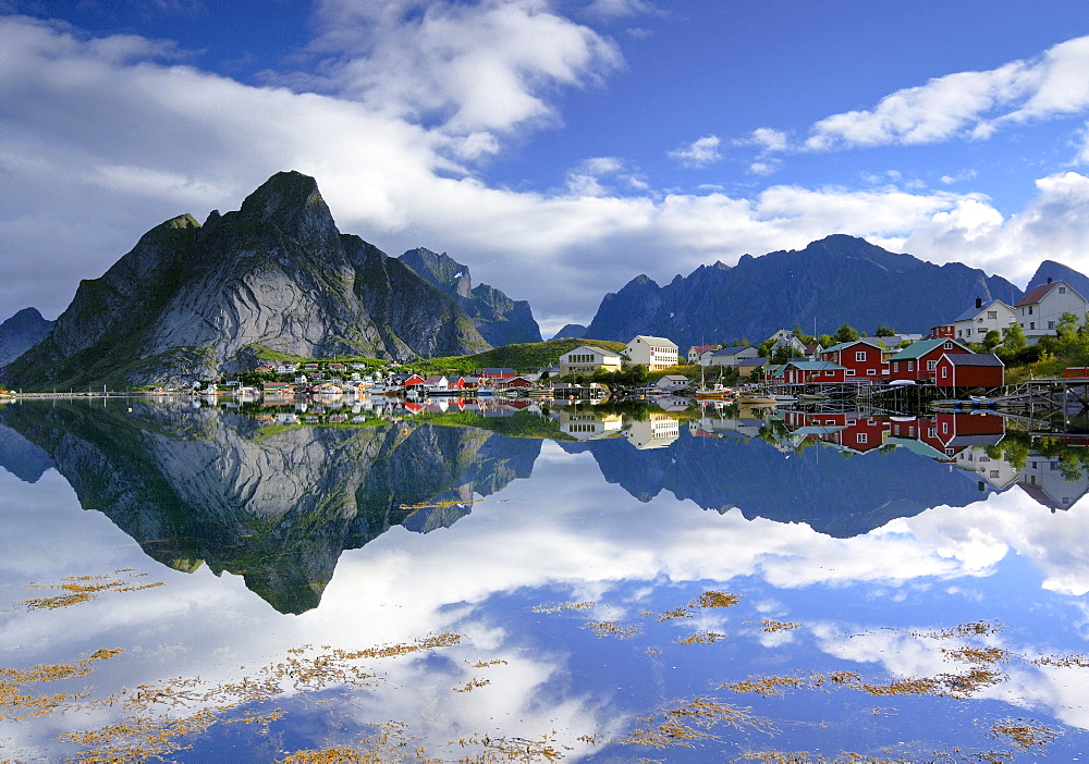 Fishing village Reine, Moskenes, Lofoten, Norway, Scandinavia