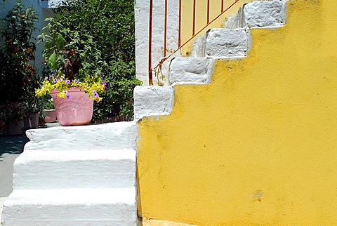 Stairs with flower pot, Fiscardo, Kefalonia, Ionian Islands, Greece