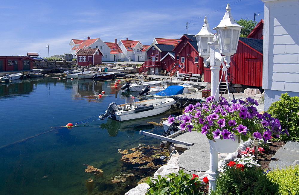 Red and white wooden houses with flower decorations, housing estate near Lindesnes, Vest-Agder, southern Norway, Scandinavia