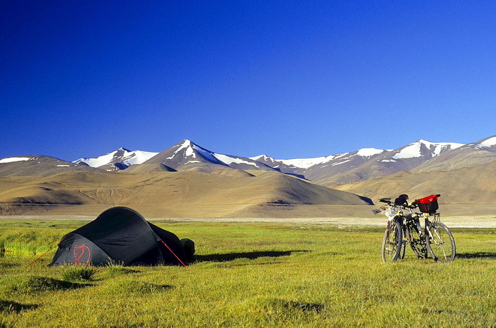 Two mountain bikes beside a tent, grass-covered plateau and snow-covered peaks, elevation over 4900 metres, Himalayas, Ladakh, India