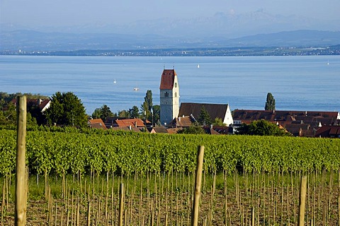 Hagnau, Lake Constance, Baden-Wuerttemberg, Germany, Europe