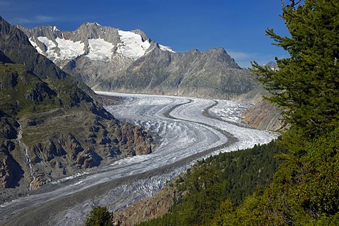 Aletsch Glacier, part of UNESCO World Heritage Site Jungfrau-Aletsch-Bietschhorn, Valais, Switzerland, Europe