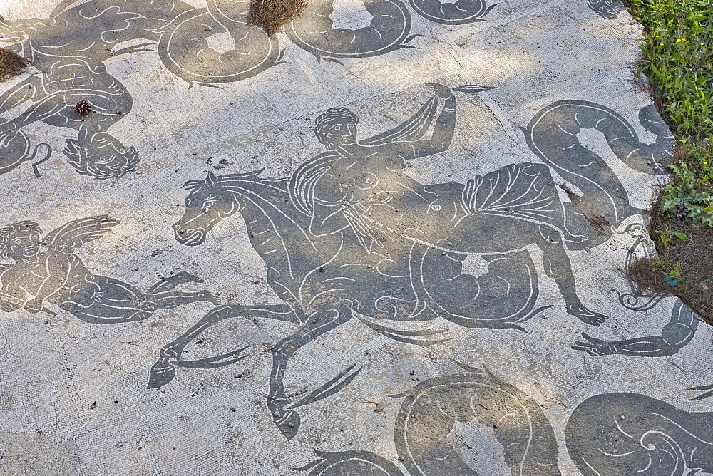 Floor mosaic, Neptune Baths, Ostia Antica archaeological site, Rome, Italy, Europe